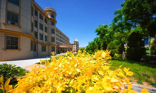 A09.��ԺԤ����ѧ��ʵѵ����